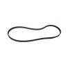 Correia PJ1054 6 Frisos - Contitech