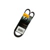 Correia Automotiva 10 X 0740 - Continental
