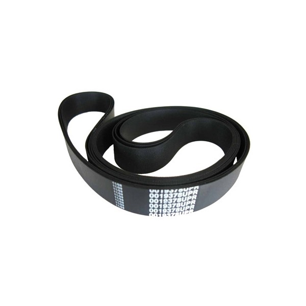 Correia Sem Fim Leve 1.650mm x 2"