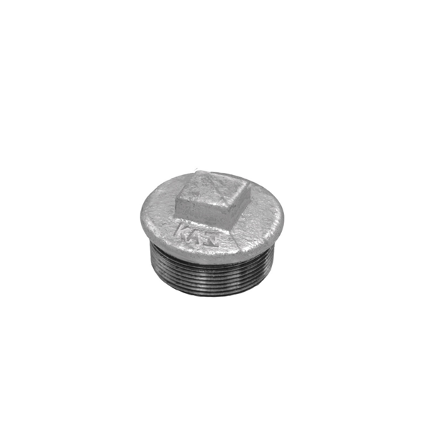 Plug BSP Macho 1.1/2 Pol. CG290G 