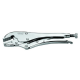 Anterior