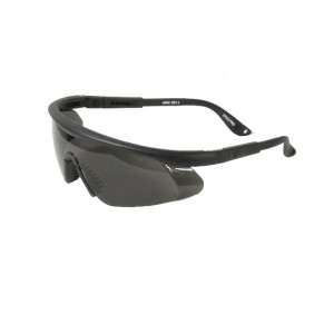 Óculos de proteção Eagle Cinza Vicsa VIC 57110 - Danny