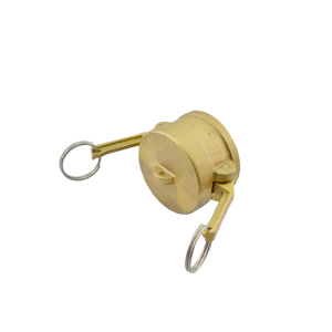 Acoplador Tampão 50.8mm 2 Pol em Latão ERT-DC