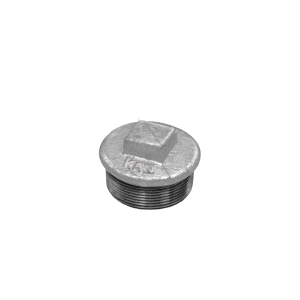 Plug BSP Macho 1.1/2 Pol. CG290G 